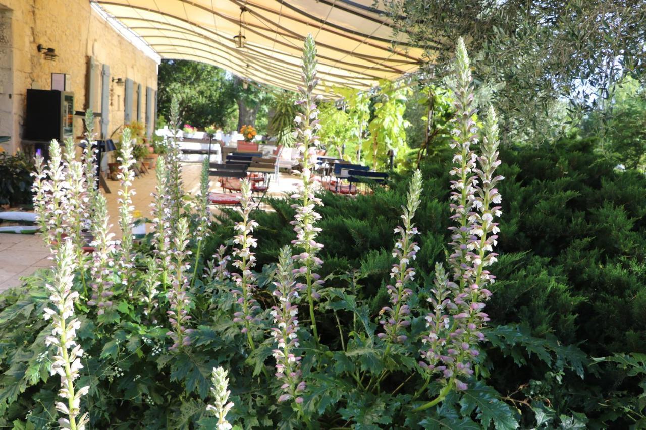 Des Cerisiers Jacuzzi Et Sauna Inclus Pour Tous Les Frühstückspension Avignon